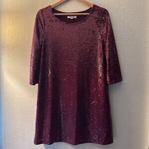 Beautiful BB Dakota Miles Sequin A-Line Dress - A Perfect Party Dress!